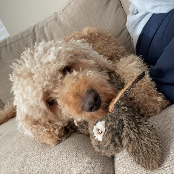 Meet your Posher, Ally - Picture 2 of 7